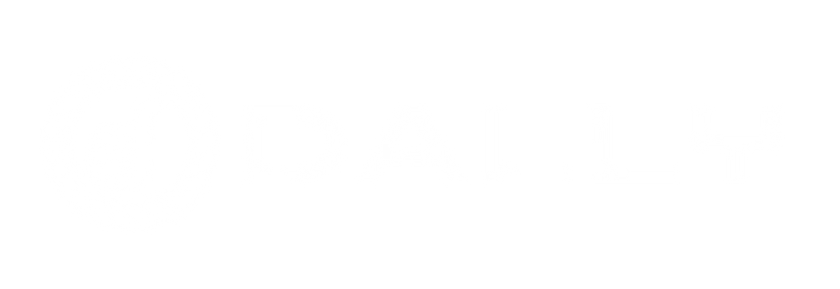 Dally Up Cap Company 